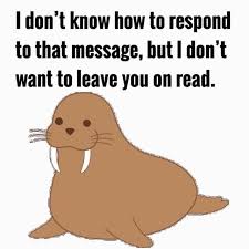 Pin By Jota On Memes Reaction Pictures Memes Relatable