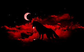 Pin On Wolf