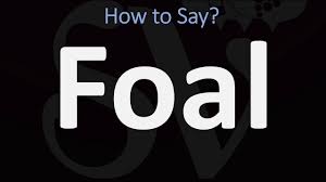 Pronunciation of akhel teke with 1 audio pronunciation, 2 translations and more for akhel teke. How To Pronounce Horse Neeness