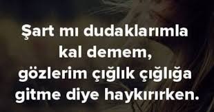 Ggamzek Adli Kullanicinin Sozler Ve Siirler Panosundaki Pin Ozlu Sozler Guzel Soz Deyisler