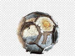 Want to find more png images? Argentina National Football Team World Cup La Liga Football Sport Sphere Png Pngegg