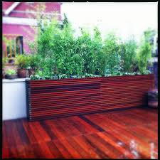 Also, the plants must be fertilised every four to six months, the same ornamental uses bamboo is not just for screening and hedging even though this is what most people use it for. Chelsea Roof Deck Ipe Planter Boxes Bamboo Privacy Screen Container Plant Contemporary Deck New York By Amber Freda Garden Design Houzz