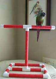 Table Top Bird Stand Perch Portable And Wrapped With Non Toxic Material For Your Bird S Comfort And Non Slip Grip My Bird Stand Parrot Toys Diy Bird Toys