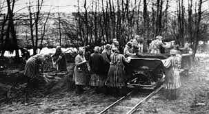 Znalezione obrazy dla zapytania: : Bundesarchiv; lic. CC BY-SA 3.0). zdejcia