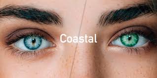 Our trustworthy reputation since 2006 attract customer from worldwide including usa, uk and many more as we have the most selection. 5 Best Colored Contact Lenses Services Reviews Of 2021 Bestadvisor Com