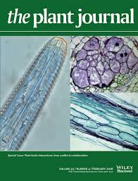Cross section through a plant cell and surrounding cells. Plant Cell Wall Mediated Immunity Cell Wall Changes Trigger Disease Resistance Responses Bacete 2018 The Plant Journal Wiley Online Library