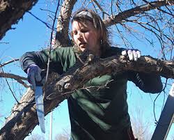 The best answers are voted up and rise to the top. Late Winter The Best Time To Prune Trees Colorado State Forest Service