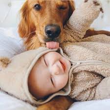 Uuuuu Cute Cok Sirin Hayvanlar Hayvan Bebekler Hayvanlar
