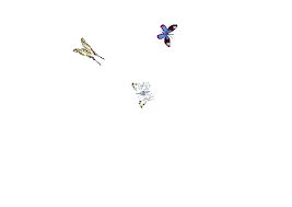 1564 x 1724 png 407kb. Top Gif De Kai Stickers For Android Ios Gfycat