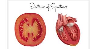 Khasiat tomato dikatakan dapat membantu mengatasi pelbagai masalah kulit. Petua Jaga Jantung Sihat Amalkan Minum Jus Tomato Selalu Mingguan Wanita