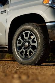 Image result for Tan 2021 Fleet