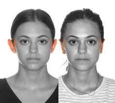 Dr. López Gil Francisco José