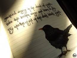 > i had in mind a black woman. Blackbirds Singing In The Dead Of Night I Love This Song Black Bird Blackbird Singing Blackbird Lyrics