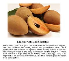 Chikoo synonyms, chikoo pronunciation, chikoo translation, english dictionary definition of chikoo. Sapota Hashtag On Twitter