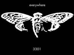 And what happens to those that solve the puzzle? Fortschritt Schnitzeljagd Im Internet Cicada 3301 Im Jahr 2014 Detektor Fm Das Podcast Radio