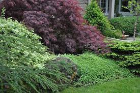 It 39 S Garden Tour Season Again A Few Weeks Ago We Went On A Tour That Took Us In To The Backyards Front Garden Design Japanese Maple Garden Garden Tours