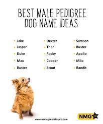 Best Male Pedigree Dog Name Ideas Name Generator Pro Dog Names Pedigree Dog Dog Names Male