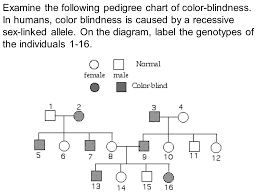 Copyright Pearson Prentice Hall Ppt Video Online Download