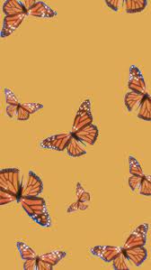 Maybe you would like to learn more about one of these? Aesthetic Yellow Orange Butterfly Wallaper Yellow Aesthetic Orange Butterfly Orange Wallpaper