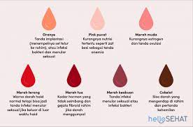 Darah haid berwarna hitam juga sering dialami oleh para wanita. Warna Darah Haid Yang Normal Dan Tak Normal Menurut Para Ahli