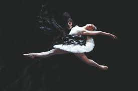 We did not find results for: St Petersburg Ballet Theatre Presents Swan Lake