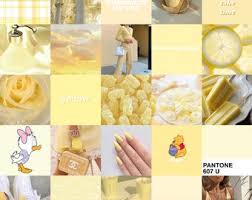 Dandelion yellow color aesthetic wallpaper macro flower picture close up. Aesthetic Yellow Etsy