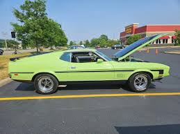 Image result for Moss (Lime) Green 1971 Monaco