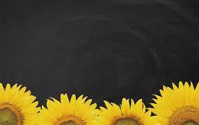 Inilah 9 gambar bunga matahari hitam putih untuk diwarnai. Detail Gambar Fantastis 23 Gambar Bunga Matahari Hitam Us 3 6 30 Off Foto