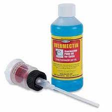 Pin On Livestock- Chickens