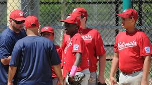 Tournament Team Player Eligibility Little League