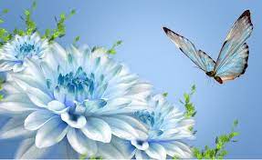 Aneka gambar sketsa kupu kupu indah dan cantik. Ngerumpi Bunga Dan Kupu Kupu