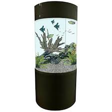 Available on the site are made from sturdy and durable materials that last for a long time underwater and can still look that much ravishing. Fish Tanks Aquariums For Sale Cheap Fish Tank All Pond Solutions