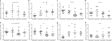 Ravelry receives a commission on purchases from amazon. Angiotensin Converting Enzyme 2 Influences Pancreatic And Renal Function In Diabetic Mice Laboratory Investigation