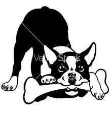 Black And White Boston Terrier Cartoon Boston Terrier Black And White Vector Image On Vectorstock Black And White Drawing Black And White Illustration Boston Terrier
