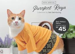 I visited mydin subang jaya branch to purchase curtains for my home (kain langsir). Flex Up Your Feline Friends With Their Own Raya Outfits
