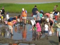 Mudflat Mania