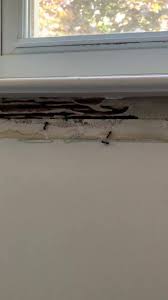 For other uses, see pc (disambiguation). All Seasons Pest Control Home Facebook