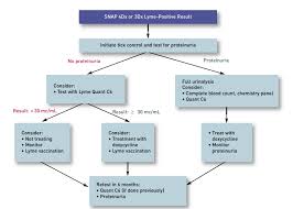 Both steps are required and can be done using the same blood sample. What To Do With A Positive Lyme Test Result Clinician S Brief