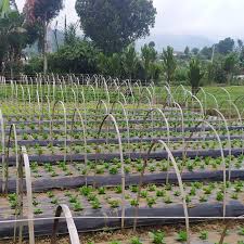 Area sepanjang 1,7 km garis pantai bali barat. Tanah Dijual Di Di Tanah Lot Agen Properti Bali Agenpropertibali Com