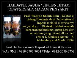 Habbatussauda Ekstrak Jual Habbatussauda Kamil Di Surabaya Detikforum