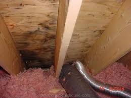 Roofleaksinheavyrain Bathroom Vent Roof Vents Diy Roofing