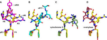 Aducanumab aims to remove sticky deposits of a protein called amyloid beta from the brains of patients in earlier stages of alzheimer's in order to stave off its ravages. Structural And Functional Analyses Of Pyroglutamate Amyloid B Specific Antibodies As A Basis For Alzheimer Immunotherapy Abstract Europe Pmc