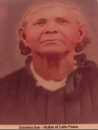 How to find Cherokee ancestry with the last name Pearson from The Carolinas?