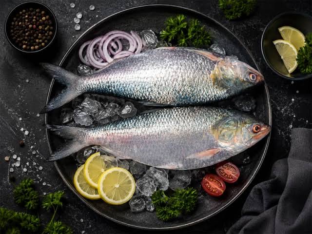 Buy Premium Hilsa Fish - Kolkata Fish