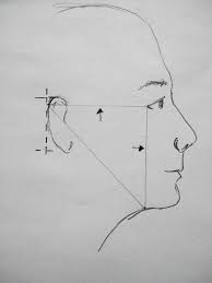 How To Draw The Human Face Liberty On The Lighter Side Human Face Face Proportions Drawing Learn To Sketch