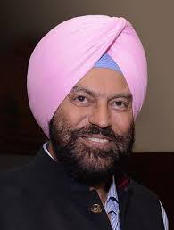 Jewels of Punjab Leading Global Punjabi Personalities: Volume II