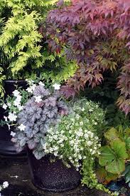 Embracing The Change Of Seasons Botanical Gardens Near Me Tropical Garden Tropical Garden Design