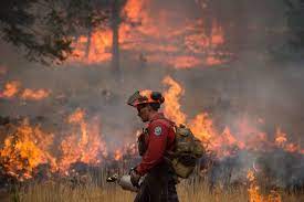 In 2017 and 2018 fernie experienced periodic smokey. 168 Wildfires Seen Across Bc So Far For The 2020 Season Energeticcity Ca Local News From Northeast B C