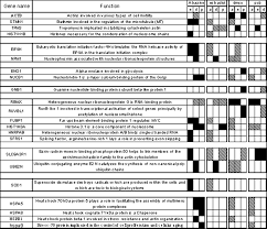 Up And Down Regulation Of Identified Proteins Chart