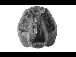 Error when system time changes as a result of time synchronisation. Did T Rex Really Have Bad Eyesight Youtube